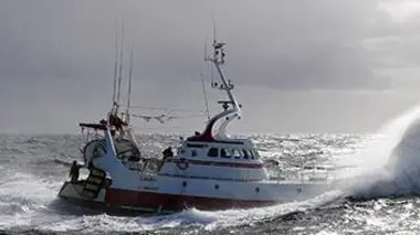 Piège en eau de mer
