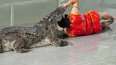 Dompteur d'animaux sauvages