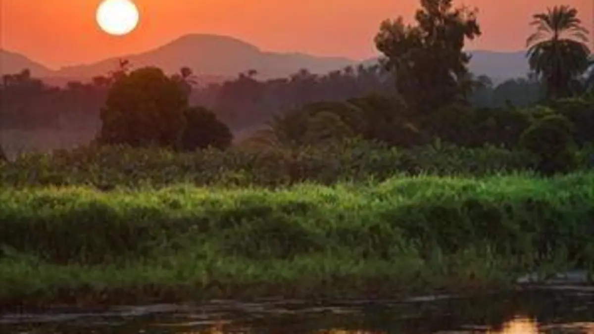 24 heures dans la nature S02E00 Sur les rives du Nil