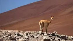 Visuel de 24 heures dans la nature