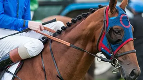 24 heures dans la vie d'un jockey