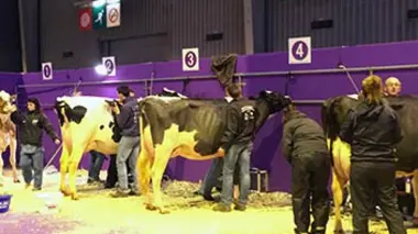 Le Salon de l'agriculture