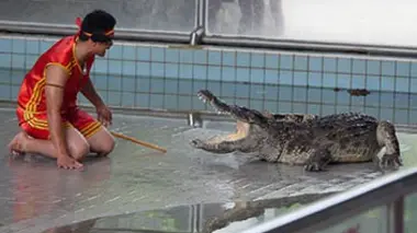 Dompteur d'animaux sauvages