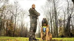 Visuel de 3 chiens héros