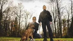 Visuel de 3 chiens héros