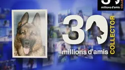 Visuel de 30 millions d'amis collector