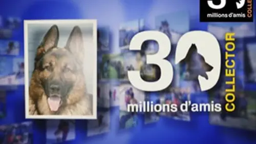 30 millions d'amis collector