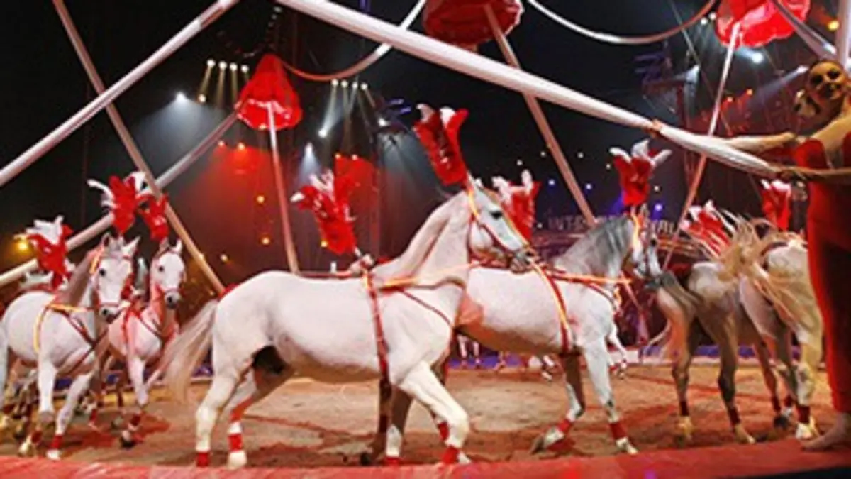 31e Festival international du cirque de Monte-Carlo