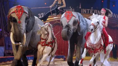 32e Festival international du cirque de Monte Carlo