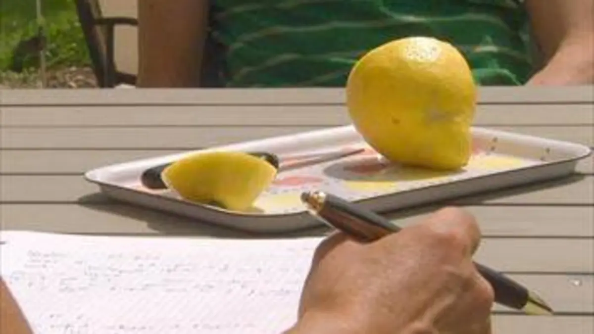 36,9° Tendance jeûne