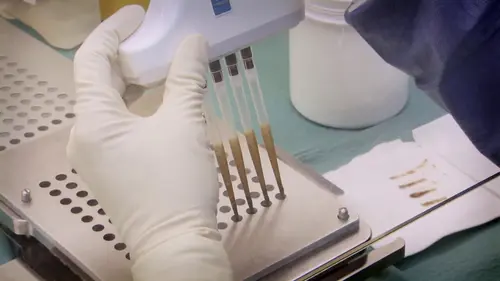 36,9° Quand le caca va, tout va !