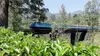 Sri Lanka, avec Rodrigo à bord du train bleu