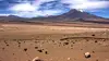 Désert d'Atacama, la vie sans eau