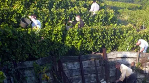 360°-GEO Champagne, les bulles du désir