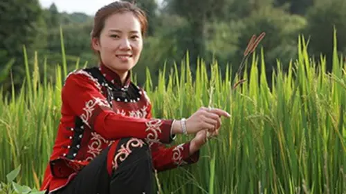 360°-GEO En Chine, à la recherche d'un mari