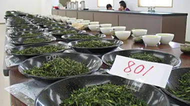 Japon, la voie du thé