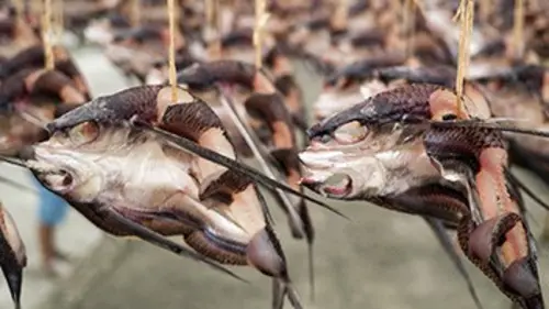 360°-GEO Taïwan, une poubelle nucléaire ?