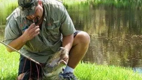 GEO Reportage Alerte aux alligators