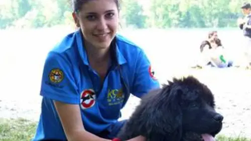 GEO Reportage Les chiens sauveteurs du lac de Garde