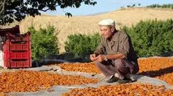 Visuel de GEO Reportage