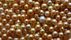 GEO Reportage Palawan, l'empire des perles