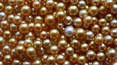 Palawan, l'empire des perles