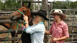 GEO Reportage E293 Australie, les cow-girls tiennent les rênes