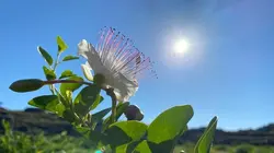 GEO Reportage  La Volga au rythme des Cosaques