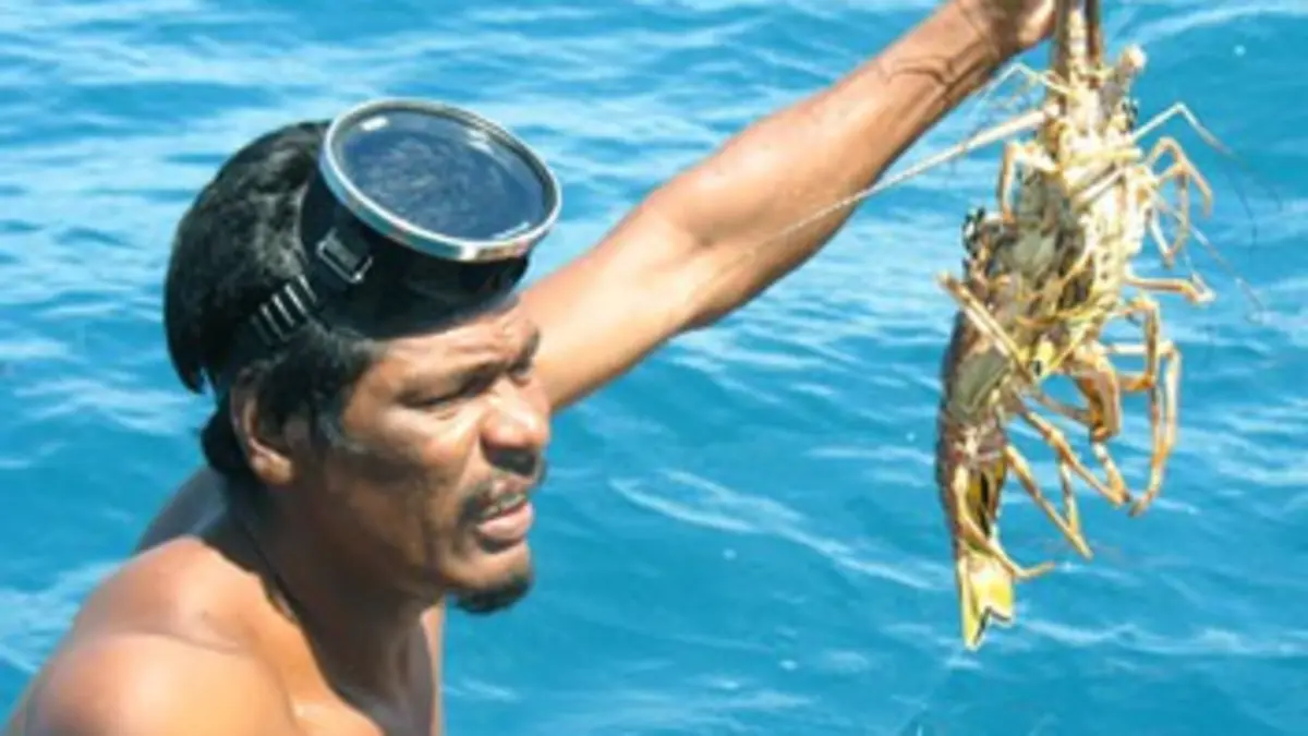 360°-GEO Nicaragua, la malédiction des pêcheurs de langoustes