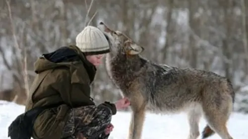 360°-GEO Laëtitia et ses loups