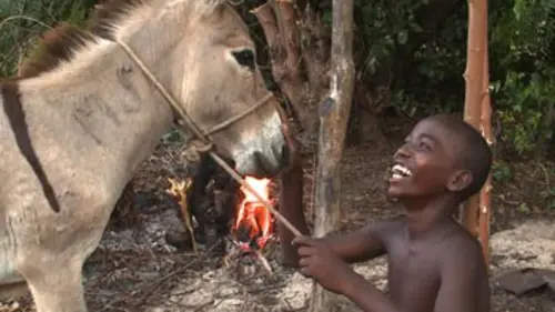 360°-GEO Lamu, l'île aux ânes