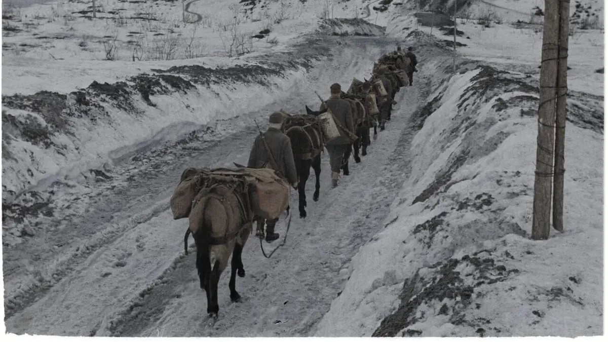 39-45 : la guerre de l'Arctique Changement d'alliance