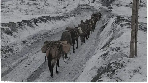 39-45 : la guerre de l'Arctique Changement d'alliance