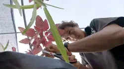 4 mois sur ma biosphère