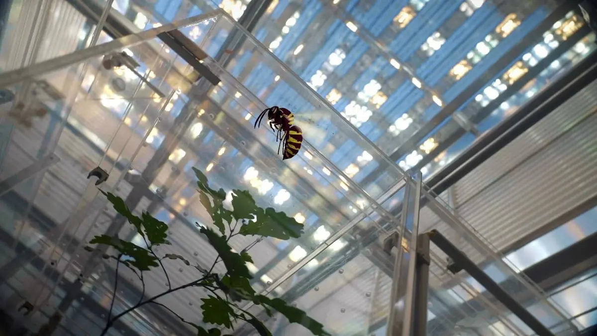 42, la réponse à presque tout Comment sauver les arbres ?