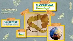 Visuel de 42, la réponse à presque tout