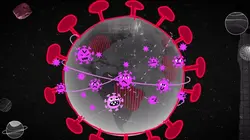 42, la réponse à presque tout Pouvons-nous piéger les virus ?