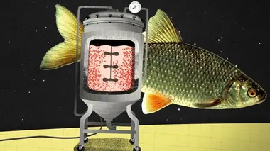 Pouvons-nous vivre sans agriculture ?