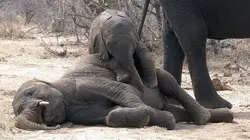 42, la réponse à presque tout  Pouvons-nous dormir moins ?