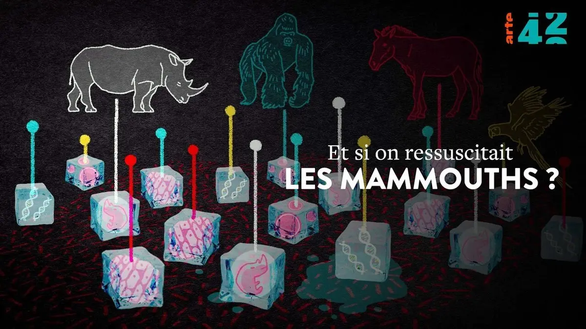 42, la réponse à presque tout Et si on ressuscitait les mammouths ?