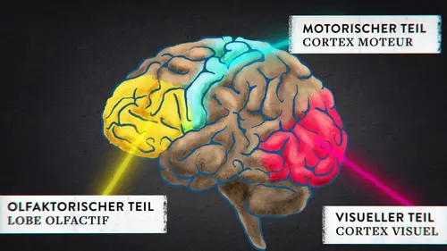 42, la réponse à presque tout Les animaux ont-ils conscience d'eux-mêmes ?