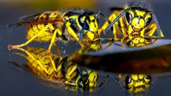 42, la réponse à presque tout