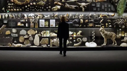 42, la réponse à presque tout S01E81 Notre évolution s'accélère-t-elle ?