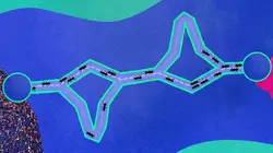 42, la réponse à presque tout