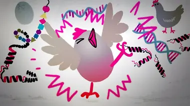 Quelle est l'origine de la vie ?