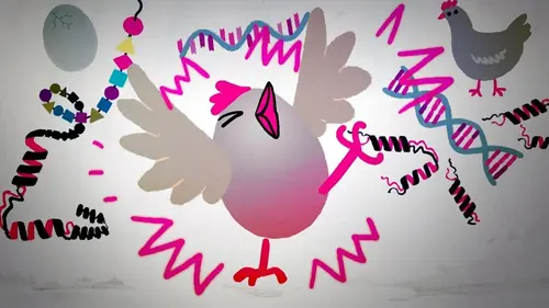 42, la réponse à presque tout S01E91 Quelle est l'origine de la vie ?