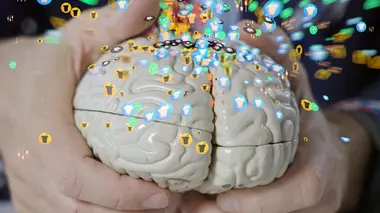 Sommes-nous de plus en plus bêtes ?
