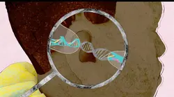 42, la réponse à presque tout