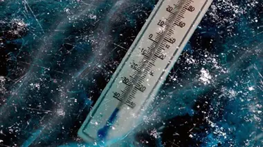 Les crises climatiques ont-elles du bon ?