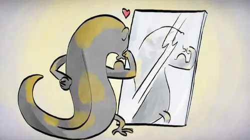 42, la réponse à presque tout Comment devenir populaire ?